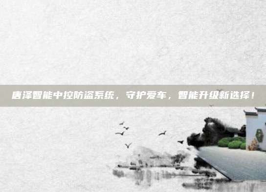 唐泽智能中控防盗系统，守护爱车，智能升级新选择！