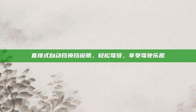 直排式自动挡换挡说明，轻松驾驭，享受驾驶乐趣