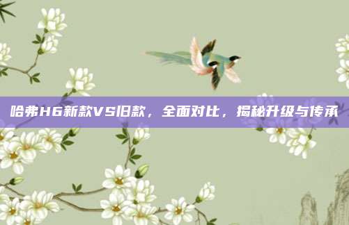 哈弗H6新款VS旧款，全面对比，揭秘升级与传承
