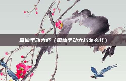 奥迪手动六档（奥迪手动六档怎么挂）