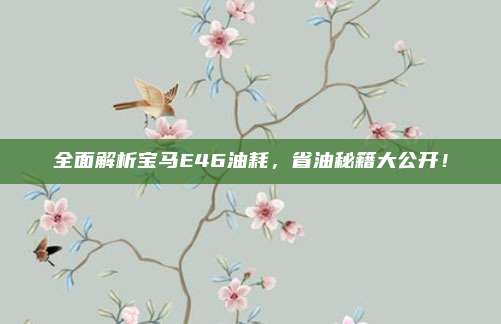 全面解析宝马E46油耗，省油秘籍大公开！