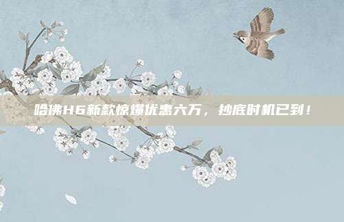 哈佛H6新款惊爆优惠六万，抄底时机已到！
