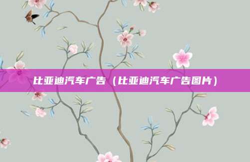 比亚迪汽车广告（比亚迪汽车广告图片）