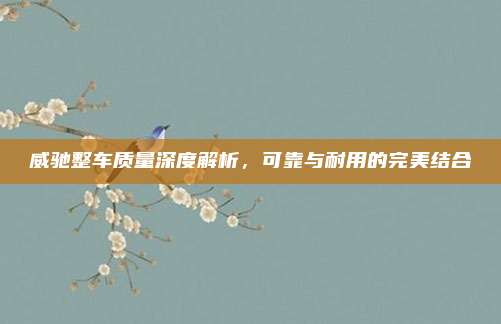 威驰整车质量深度解析，可靠与耐用的完美结合