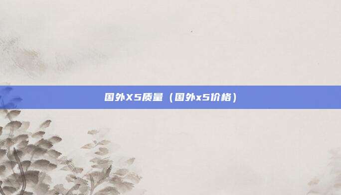 国外X5质量（国外x5价格）