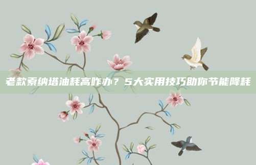 老款索纳塔油耗高咋办？5大实用技巧助你节能降耗