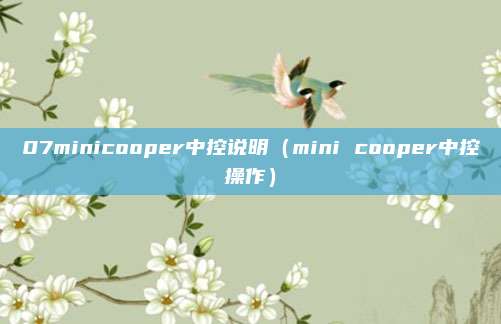 07minicooper中控说明（mini cooper中控操作）