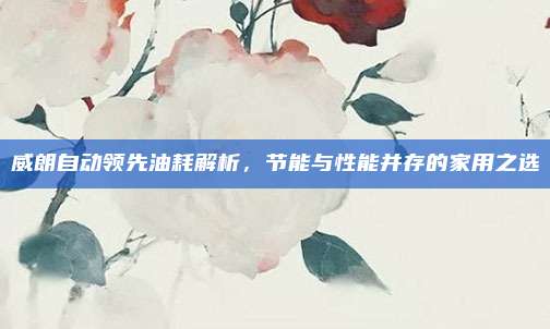 威朗自动领先油耗解析，节能与性能并存的家用之选