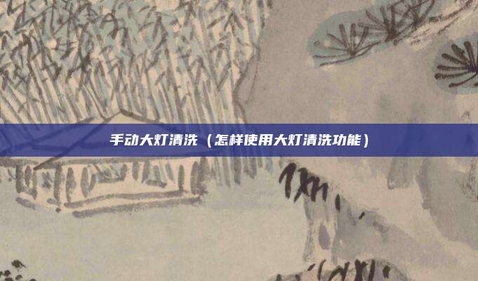 手动大灯清洗（怎样使用大灯清洗功能）