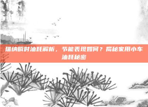 瑞纳瞬时油耗解析，节能表现如何？揭秘家用小车油耗秘密