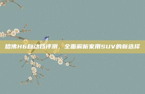 哈佛H6自动挡评测，全面解析家用SUV的新选择