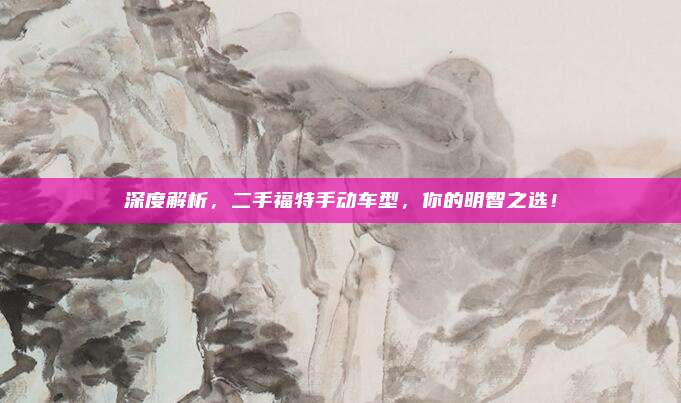 深度解析，二手福特手动车型，你的明智之选！