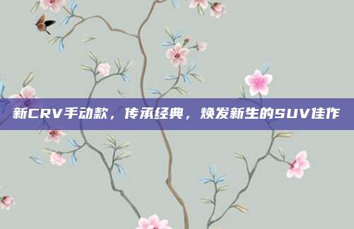 新CRV手动款，传承经典，焕发新生的SUV佳作