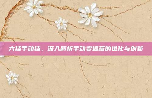 六挡手动挡，深入解析手动变速箱的进化与创新