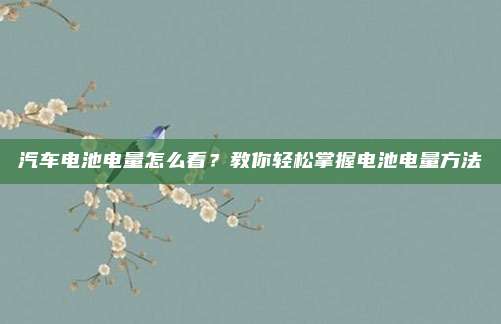 汽车电池电量怎么看？教你轻松掌握电池电量方法