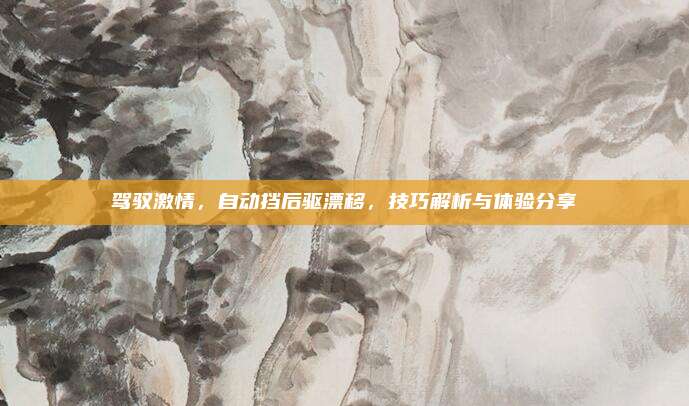 驾驭激情，自动挡后驱漂移，技巧解析与体验分享