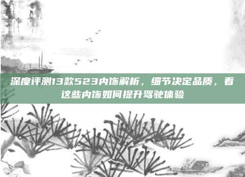 深度评测13款523内饰解析，细节决定品质，看这些内饰如何提升驾驶体验