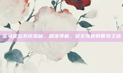 宝马定位系统揭秘,精准导航,安全驾驶的智慧之选