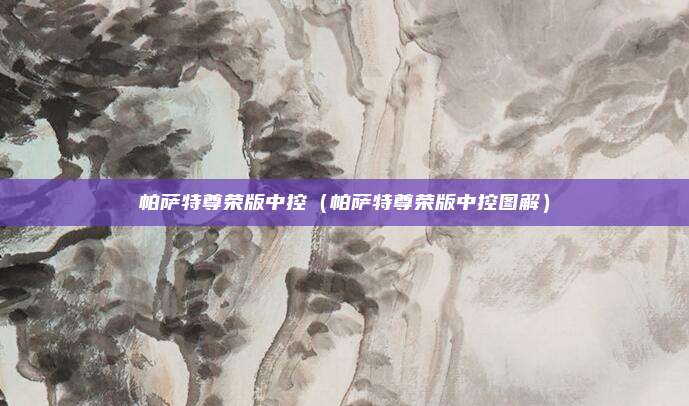 帕萨特尊荣版中控(帕萨特尊荣版中控图解)