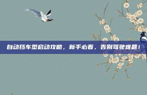 自动挡车型启动攻略,新手必看,告别驾驶难题!