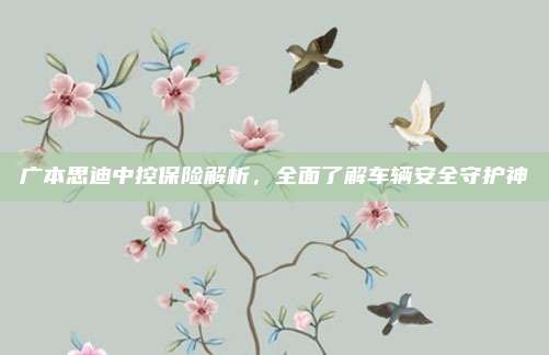 广本思迪中控保险解析,全面了解车辆安全守护神