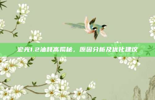 宏光1.2油耗高揭秘,原因分析及优化建议