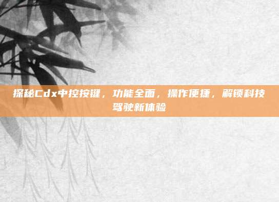探秘Cdx中控按键,功能全面,操作便捷,解锁科技驾驶新体验