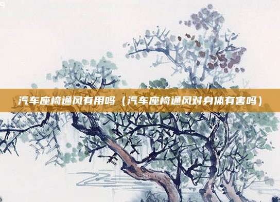 汽车座椅通风有用吗（汽车座椅通风对身体有害吗）