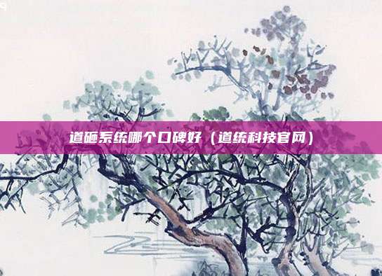 道砸系统哪个口碑好(道统科技官网)