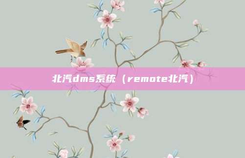 北汽dms系统(remote北汽)