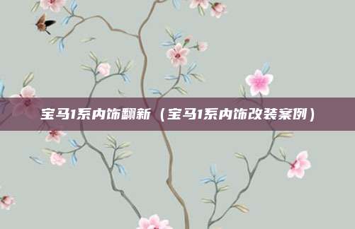 宝马1系内饰翻新(宝马1系内饰改装案例)
