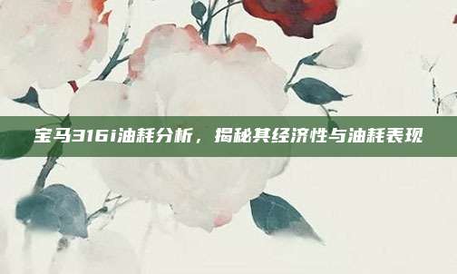 宝马316i油耗分析,揭秘其经济性与油耗表现