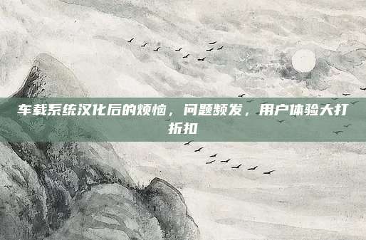车载系统汉化后的烦恼,问题频发,用户体验大打折扣