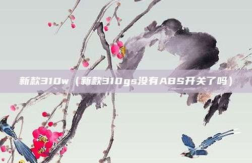 新款310w（新款310gs没有ABS开关了吗）