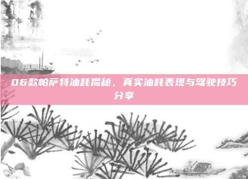 06款帕萨特油耗揭秘,真实油耗表现与驾驶技巧分享