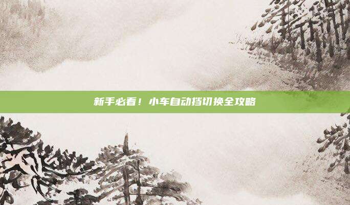 新手必看!小车自动挡切换全攻略