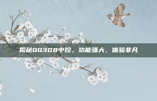 揭秘QQ308中控,功能强大,体验非凡