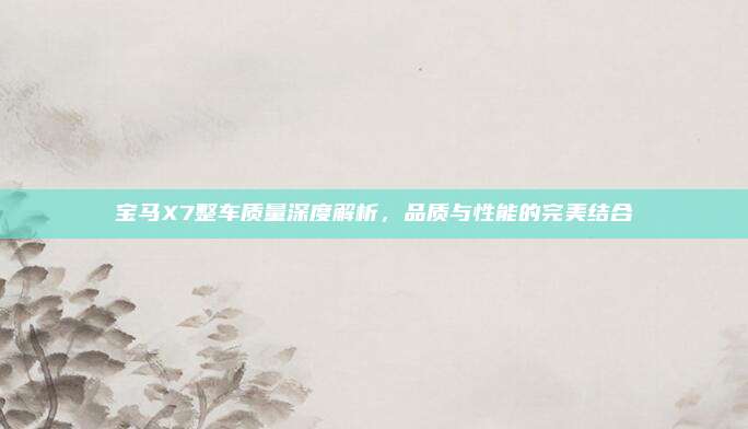 宝马X7整车质量深度解析,品质与性能的完美结合