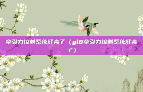 牵引力控制系统灯亮了（gl8牵引力控制系统灯亮了）