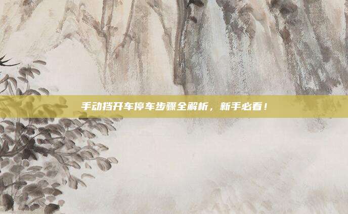 手动挡开车停车步骤全解析,新手必看!