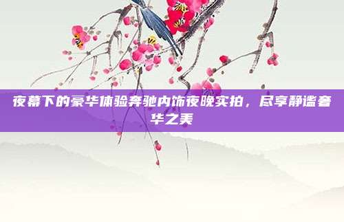 夜幕下的豪华体验奔驰内饰夜晚实拍，尽享静谧奢华之美