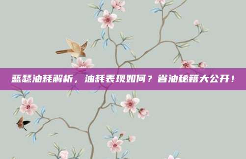 蓝瑟油耗解析，油耗表现如何？省油秘籍大公开！