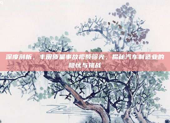 深度剖析,丰田质量事故视频曝光,揭秘汽车制造业的隐忧与挑战