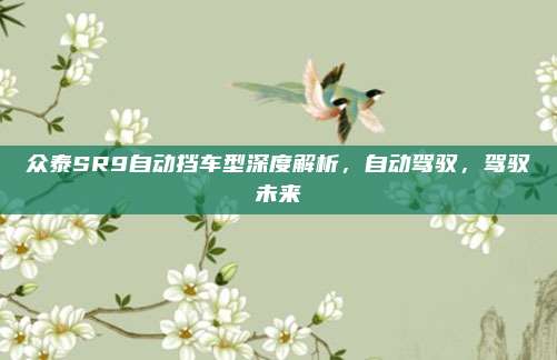 众泰SR9自动挡车型深度解析，自动驾驭，驾驭未来