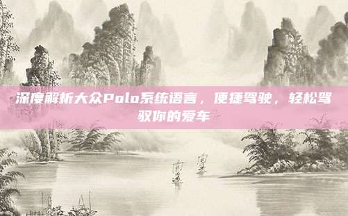 深度解析大众Polo系统语言,便捷驾驶,轻松驾驭你的爱车