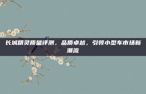 长城精灵质量评测,品质卓越,引领小型车市场新潮流
