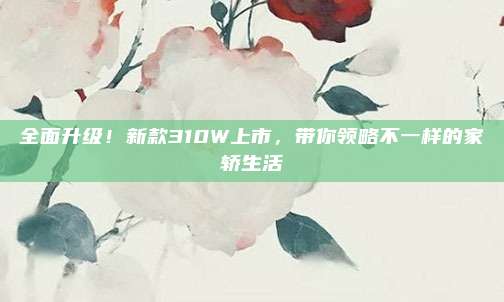 全面升级!新款310W上市,带你领略不一样的家轿生活