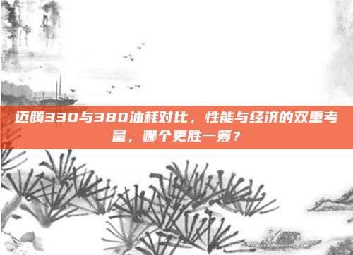 迈腾330与380油耗对比,性能与经济的双重考量,哪个更胜一筹?