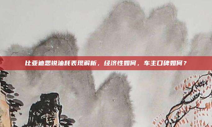 比亚迪思锐油耗表现解析，经济性如何，车主口碑如何？