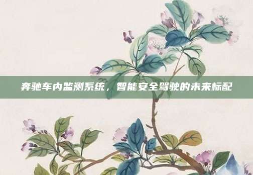 奔驰车内监测系统，智能安全驾驶的未来标配
